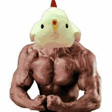 Muscle Chicken GIF - Muscle Chicken GIFs