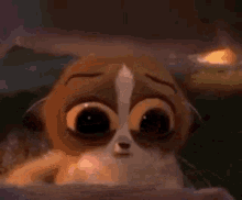 a close up of a cartoon animal with big eyes looking at the camera .