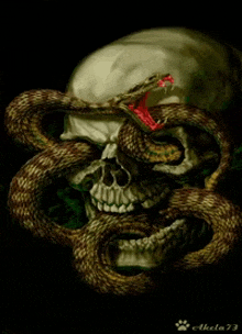 a snake is wrapped around a skull with its mouth open .