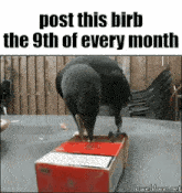 Monthly 9th GIF - Monthly 9th Essica GIFs