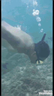 Dive Diving GIF - Dive Diving Sisid GIFs