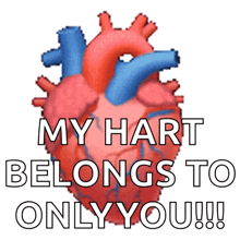 a picture of a human heart with the words my hart belongs to only you