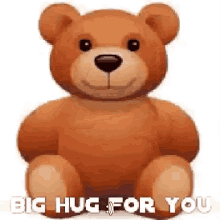 Bear Big Hug For You GIF - Bear Big Hug For You GIFs