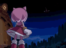 Sonic X Amy Angry Amy Rose Angry GIF - Sonic X Amy Angry Amy Rose Angry Amy Rose Fire GIFs
