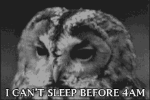 Night Owl GIF - Owl Cantsleep Before4am GIFs