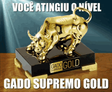 Gado Supremo Gold Trofeu GIF - Gado Supremo Gold Trofeu Bull GIFs