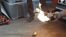 exhaust pipe cook roast marshmallows flame test