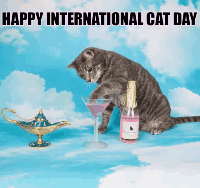 National Cat Day in 19 GIFs