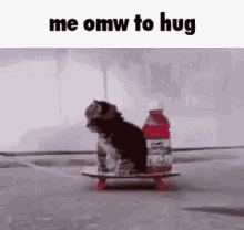 Me Omw To Hug Hugging GIF - Me Omw To Hug Hugging Cat GIFs