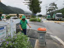 a man in a green vest spraying purple flowers next to a trash can that says easywood
