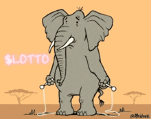 a cartoon of an elephant holding a microphone with the word lotto written in pink
