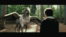Ron And Hermione GIF - Harry Potter GIFs