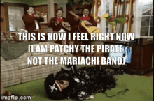 Patchy The Pirate Spongebob GIF - Patchy The Pirate Spongebob Potty The Parrot GIFs