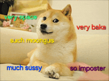 Doge Amongus GIF