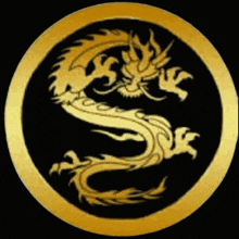a golden dragon is in a black circle