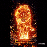 a lion is covered in flames and is walking on a black background .