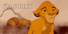 Lion King Im Sorry GIF - Lion King Im Sorry Disney GIFs