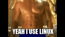 a shirtless man with the words yeah i use linux written on his chest