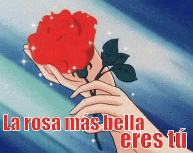 La Rosa Más Bella Eres Tú GIF - Una Rosa Flor Frases De Amor - Discover & Share GIFs