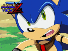 a cartoon of sonic the hedgehog with sonic z written on the top