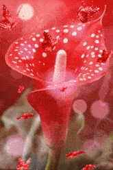 a red flower with white polka dots is surrounded by butterflies