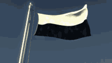 Garoldia Flag GIF - Garoldia Flag Ok GIFs