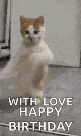 a cat is standing on its hind legs with the words `` with love happy birthday '' written on it .