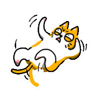 Fun Cat Sticker