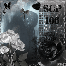 a black and white photo of flowers and butterflies with scp 106 written on it