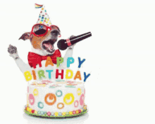 Birthday Wishes GIF - Birthday Wishes Cake GIFs