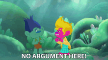 argument goes