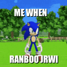 Ranboo Jrwi GIF - Ranboo Jrwi Just Roll With It GIFs