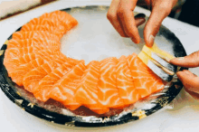 三文鱼 鲑鱼 美食 GIF - Salmon Delicious Food GIFs