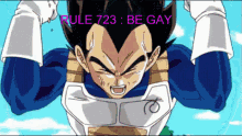 Rule723be Gay Vegeta GIF - Rule723be Gay Vegeta Rule GIFs