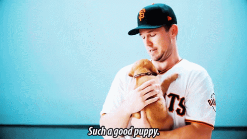 Buster Posey Such A Good Puppy GIF - Buster Posey Such A Good Puppy Puppy -  Discover & Share GIFs