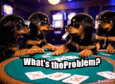 a group of rottweiler puppies playing poker with the words what 's the problem above them