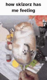 a person is holding a wine glass with a cat inside of it and the caption how skizorz has me feeling