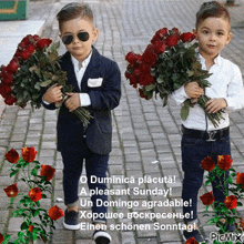 two young boys holding bouquets of red roses with a caption that says a pleasant sunday