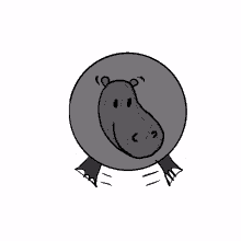 hippos fart