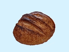 Bread Cute GIF