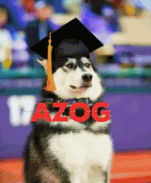 Azog Funny Animals GIF - Azog Funny Animals Graduation GIFs