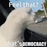 Feel That Thats Democracy GIF - Feel That Thats Democracy Helldivers GIFs