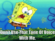 Spongebob Dont Use That Tone Of Voice With Me GIF - Spongebob Dont Use That Tone Of Voice With Me Watch Your Tone GIFs