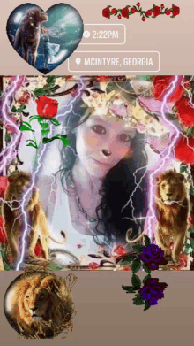 stephanie marie knight patterson heart love rose flower