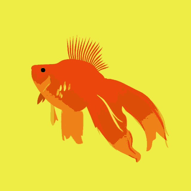 Animated Fish Swimming Gif