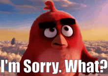 Angry Birds Red GIF - Angry Birds Red Im Sorry What GIFs