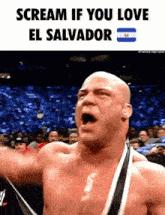 El Salvador Meme GIF - El Salvador Meme Salvi GIFs