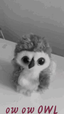 Owl Eyes GIF - Owl Eyes Cute GIFs