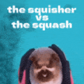 The Squisher The Squash GIF - The Squisher The Squash The Squisher Vs The Squash GIFs