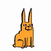 happy ok up bunny rabbit